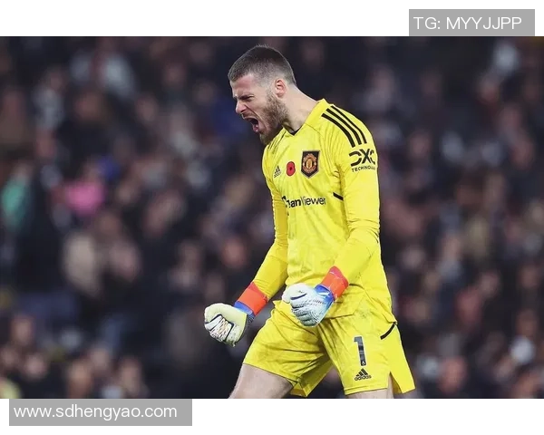 吉格斯传奇之路：从曼联青训到全球足球巨星的辉煌历程